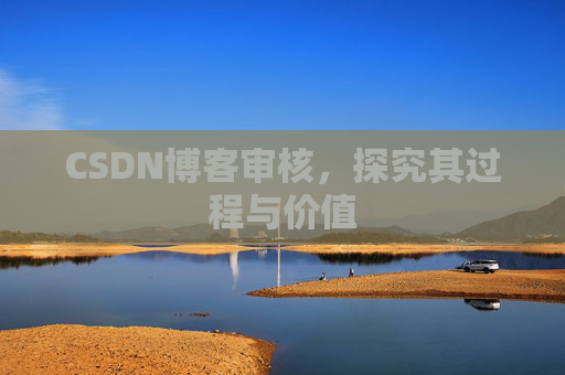 CSDN博客审核,探究其过程与价值