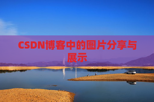 CSDN博客中的图片分享与展示